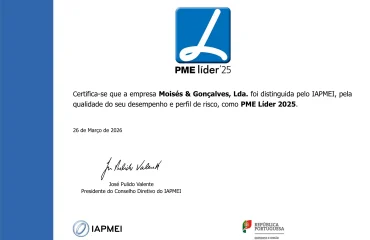 estatuto pme líder 2025